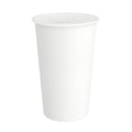1000-PACK OF CUP HOT COMPOSTABLE PAPER SQUAT 20 OZ PLAIN DISPOSABLE
