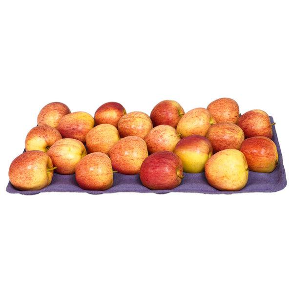 100 CT-PACK OF APPLE GALA X-FANCY FRESH