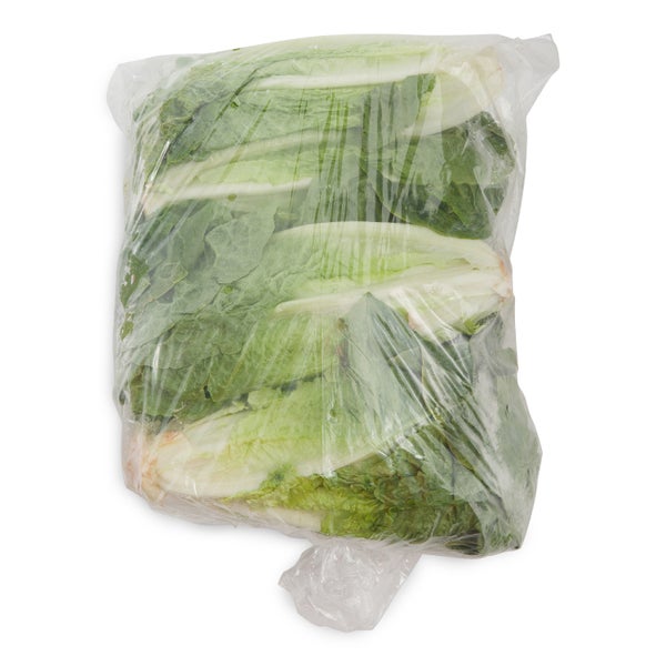 6 CT-PACK OF LETTUCE ROMAINE FRESH