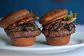 10#AVG-PACK OF VENISON PATTY GRND 3X1