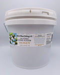 1-PACK OF HONEY ORANGE BLOSM