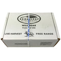 20#AVG-PACK OF BOAR WILD ST LOUIS RIB