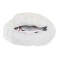 22#-PACK OF FISH FRESH BRONZINO WHL400/600