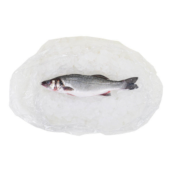 22#-PACK OF FISH FRESH BRONZINO WHL400/600