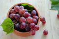 CTN-PACK OF GRAPE RED SEEDLS LG