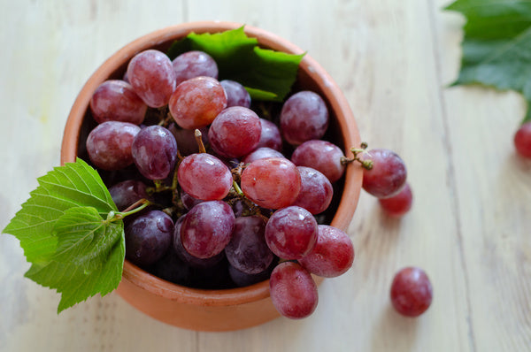 CTN-PACK OF GRAPE RED SEEDLS LG