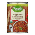 12-PACK OF Soup Lentil Pacific Foods Soup Veg Lentil Org Pack Of 12, 16.3 Oz 16.3 oz