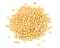 1-PACK OF GRAIN MILLET SEED