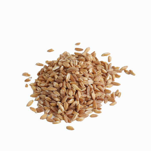 12-PACK OF GRAIN WHEAT FARRO