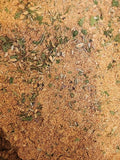 5-PACK OF Spice Blend Pork Dinner 16 oz 5 ct Salt- Free Bateman Acres