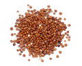 1-PACK OF GRAIN QUINOA ORGANIC RED