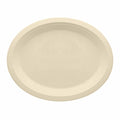 20-PACK OF Plates - Sugarcane Bagasse Compostable 10 inch Oval Plates - Case of 20 (500 Pcs)