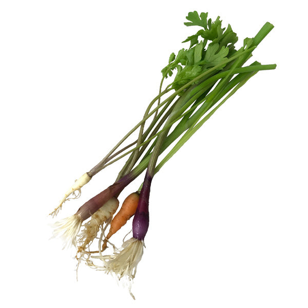 50 CT-PACK OF VEGETABLE MIX CRUDITE TINY VEG