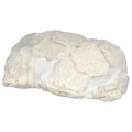 5.3OZ-PACK OF BEEF FRITTER CHKN CNTRY FRIED