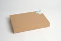 500-PACK OF BAG PLASTIC MON PRTN MICRO