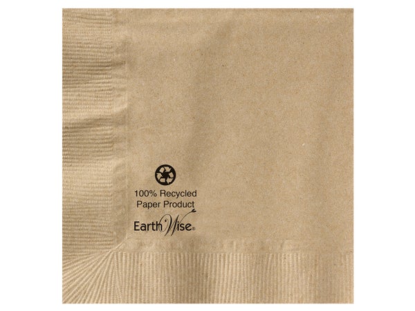 4-PACK OF NAPKIN BEV ERTHWS NAT RECYC 2P