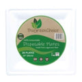 12-PACK OF PLATE PAPER SQUARE BIOGREENCHOICE BAGASSE FIBER MOLDED PLATE 10"