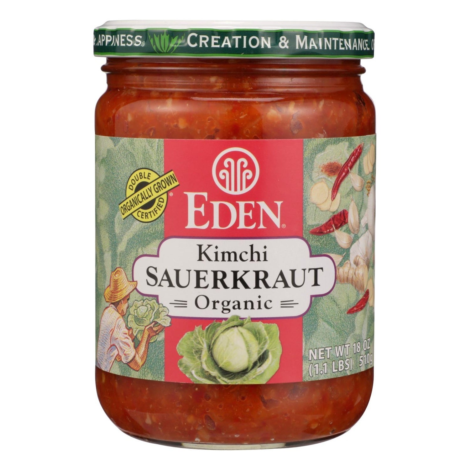 12-PACK OF CABBAGE PICKLED KIMCHI SAUERKRAUT