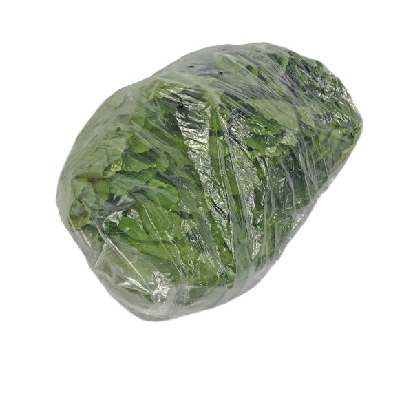 24 CT-PACK OF LETTUCE ROMAINE BABY GRN FRSH