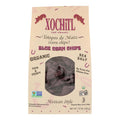 10-PACK OF CHIP CORN BLUE CORN