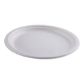 10-PACK OF PLATE PAPR SGRCN 10N PFREE