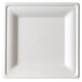 10-PACK OF PLATE PAPR SGRCN MED PFREE