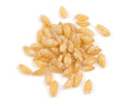 1-PACK OF GRAIN SPCLTY GRANO WHL KERNEL