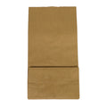 1-PACK OF BAG PAPER BRN 6LB