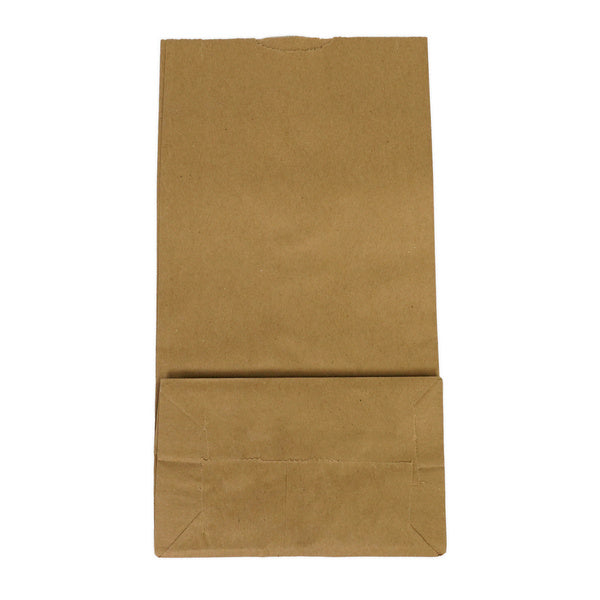 1-PACK OF BAG PAPER BRN 6LB