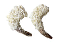 3 LB-PACK OF SHRIMP BRD COCO RND 16/20