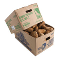 50LB-PACK OF POTATO RUSSET #2 6OZ MIN CTN