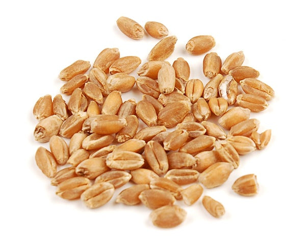 1-PACK OF GRAIN WHEAT BRY HARD RED ORG