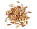 1-PACK OF GRAIN SPCLTY BLEND WHL ANCIENT