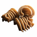 2-PACK OF Pasta Radiators Whole Grain Organic Bulk, Sfoglini Pasta