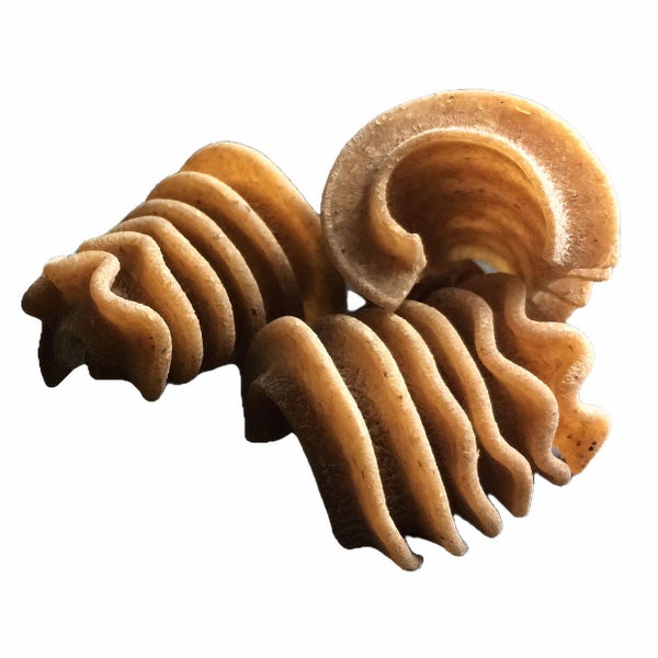 2-PACK OF Pasta Radiators Whole Grain Organic Bulk, Sfoglini Pasta