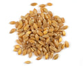 1-PACK OF GRAIN SPCLTY EINKORN