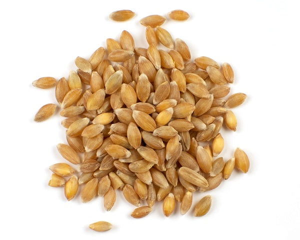 1-PACK OF GRAIN SPCLTY EINKORN