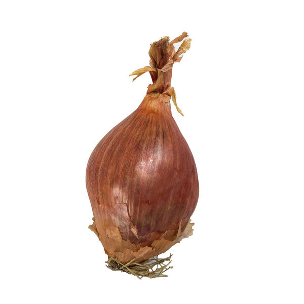 5 LB-PACK OF SHALLOT FRESH