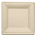 500-PACK OF PLATE SQUARE COMPOSTABLE SQUARE MOLDED FIBER 8 INCH DISPOSABLE