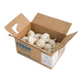 5 LB-PACK OF GARLIC CLOVE JMBO FRSH