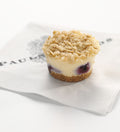 66- PACK OF DESSERT CHSCAKE BLUEBRY GL FRE