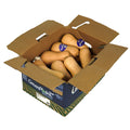 30-35#-PACK OF SQUASH BUTTERNUT FRESH