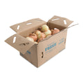 50 LB-PACK OF ONION YELLOW SPR COLOSSAL BOX