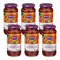 6-PACK OF Sauce Apricot Coriander Al Fez 15.8 oz