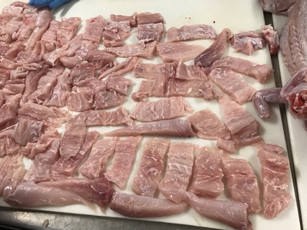 16 OZ-PACK OF ALLIGATOR MEAT TAIL ALL WHT