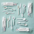 1000-PACK OF SPOON PLAS PP WHT MED WT
