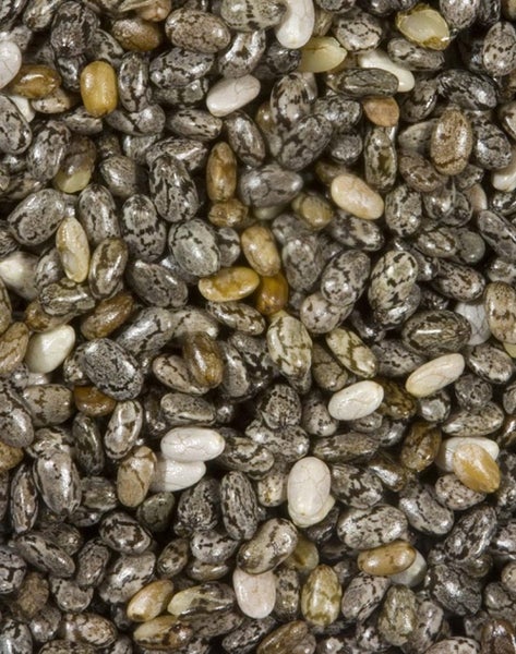 6-PACK OF Seed Chia Organic, 6X8 Oz