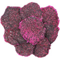 1-PACK OF COCKTAIL GARNISH RD DRAGON FRT