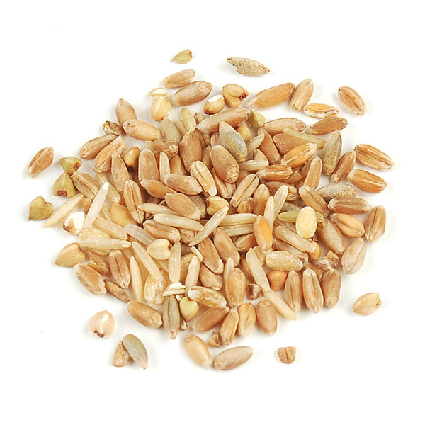 1-PACK OF GRAIN SPCLTY SEVEN MIX