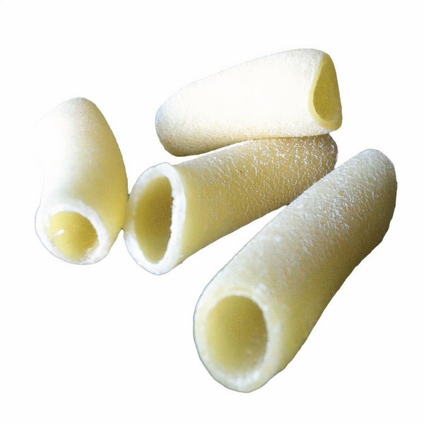2-PACK OF Pasta Macaroni Durum Semolina Organic Bulk, Sfoglini Pasta